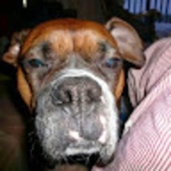 Meet your Posher, Claude - Picture 1 of 1